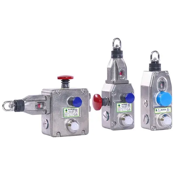 https://26915817.fs1.hubspotusercontent-eu1.net/hubfs/26915817/AD/AD-Website-products/Idem/GuardianLine-Stainless-Steel-Safety-Rope-Switches-Group-Image.webp